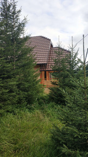 Brvnara Dolina jela