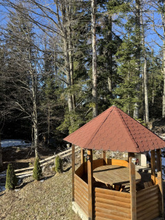 Nest&Rest - Vikendice Tara