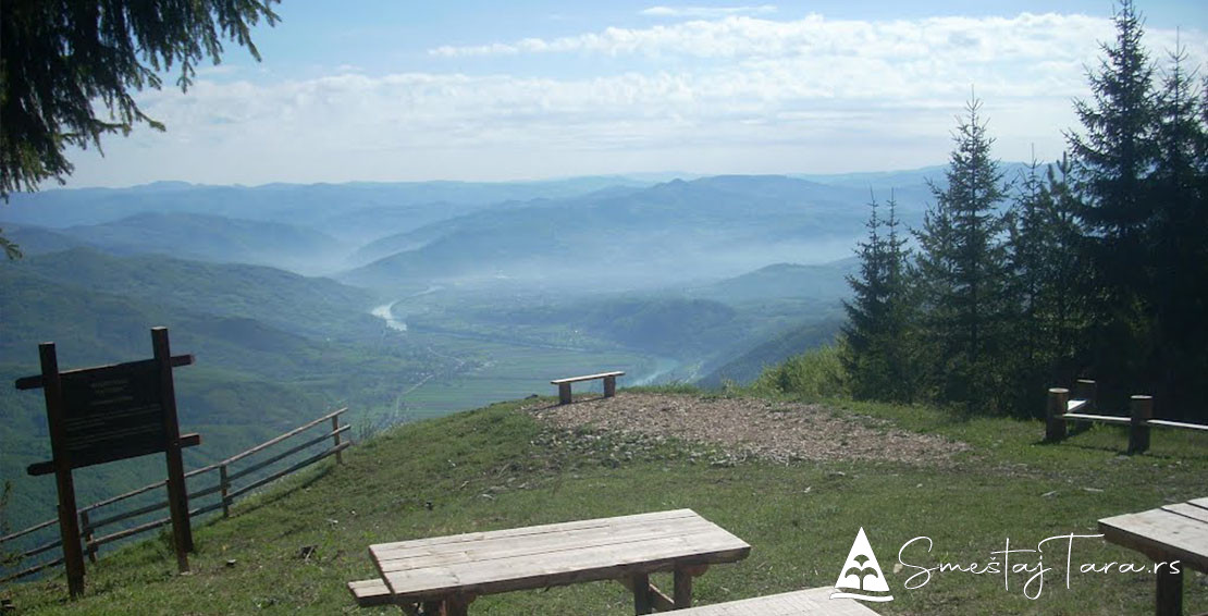 Osluša na Tari